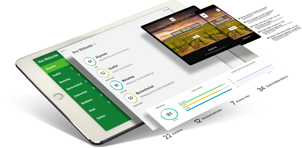 web-analyse-toweb